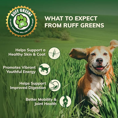 Ruff Greens - Hip & Joint Supplement For Dogs - Probiotics Digestive Enzymes Powder for Mobility Support, Essential Vitamins & Minerals, 6.9 ounce