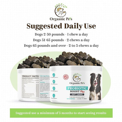 Ultimate Dog PROBIOTIC Chews - Boosts Gut Health and Eases Allergies with PROBIOTICS, POSTBIOTICS, PREBIOTICS (FOS) Inulin - Colostrum - Glutamine - Mushrooms -Pumpkin-QUERCETIN and a SUPERFOOD Blend