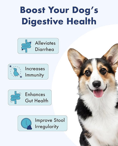 Probiotics for Dogs and Puppy, Powder Digestive Health & Immune Support Supplements with Palatinose, Chicory Dietary Fiber and Lactobacillus - 30 Individually Packaged (1 PACK (30 Count))