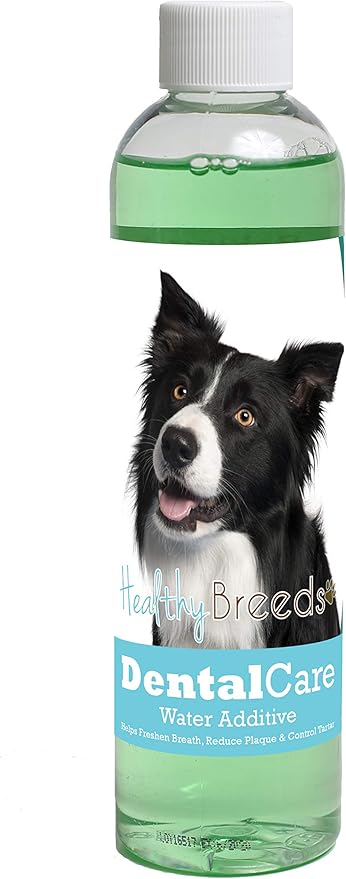 Healthy Breeds Dog Dental Care Water Additive for Border Collie - Helps Freshen Breath, Reduce Plaque & Control Tartar - Mint Flavor - 8 oz