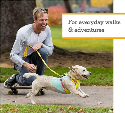 Ruffwear, Hi & Light, Everyday Lightweight Dog Harness, Trail Running, Walking, Hiking, All-Day Wear, Blue Dusk, XX-Small