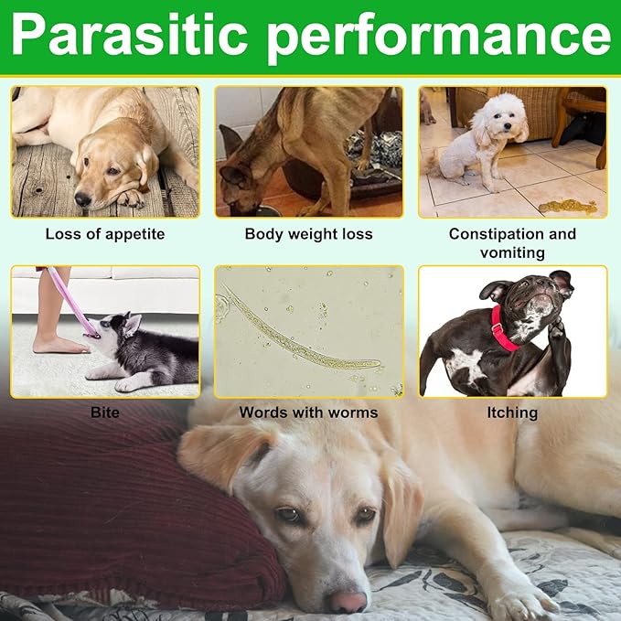 150pcs Flea & Tick Prevention for Dogs Chewable - Dog Flea & Tick Control - Flea and Tick Supplement for Dogs - Flea and Tick Chews for Dogs, Oral Flea Pills for All Breeds and Ages Dogs