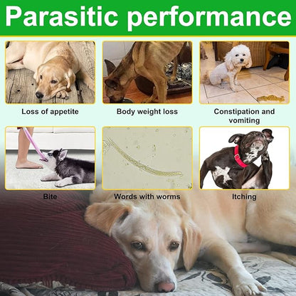 150pcs Flea & Tick Prevention for Dogs Chewable - Dog Flea & Tick Control - Flea and Tick Supplement for Dogs - Flea and Tick Chews for Dogs, Oral Flea Pills for All Breeds and Ages Dogs
