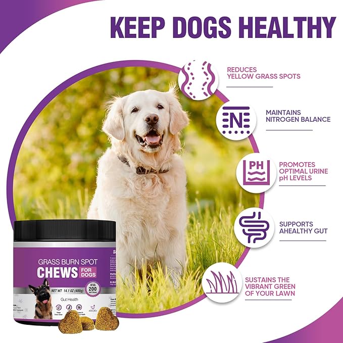 Grass Burn Spot Chews for Dogs Dog Pee Grass Neutralizer 200 Green Grass Dog Chews Dog Pee Lawn Spot Saver for Grass Burn Spots Dog Urine Neutralizer for Lawns with Probiotics Digestive Enzymes