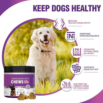 Grass Burn Spot Chews for Dogs Dog Pee Grass Neutralizer 200 Green Grass Dog Chews Dog Pee Lawn Spot Saver for Grass Burn Spots Dog Urine Neutralizer for Lawns with Probiotics Digestive Enzymes