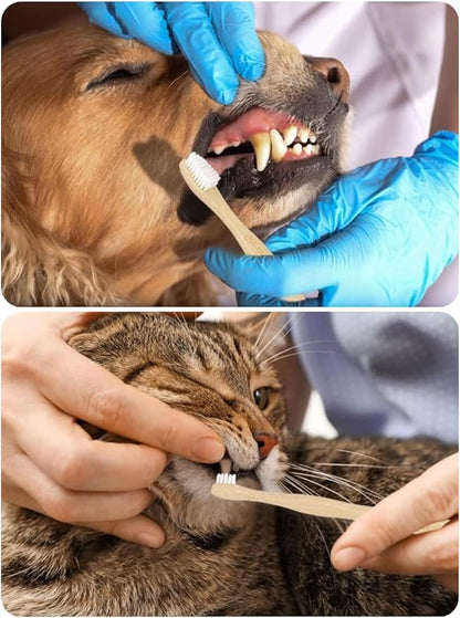 Dog Toothbrush,Pets Bamboo Tooth Brush Double-Sided Small & Large Head Toothbrushes for Dogs Cats,Biodegradable Eco-Friendly Teeth Cleaning Tool (Black 6 Pack)
