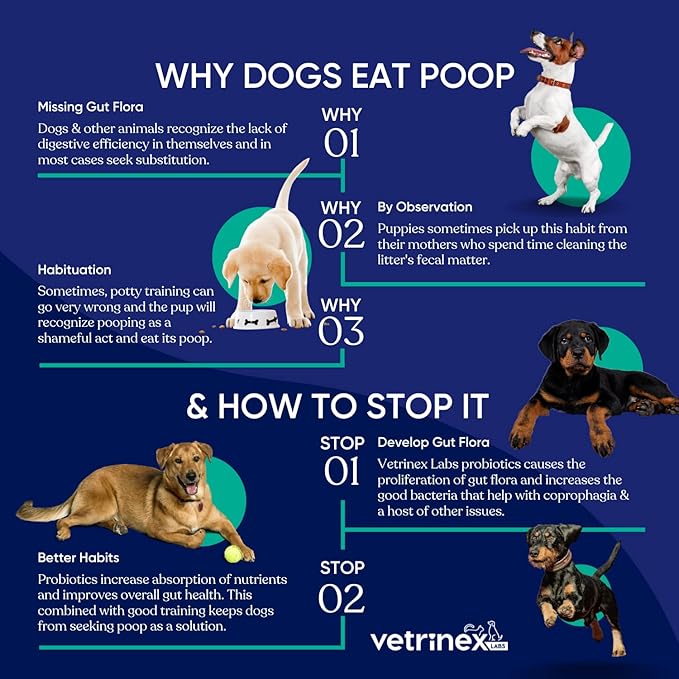 Probiotic - Coprophagia Treatment for Dogs - Stop and Prevent Dog from Eating Poop - No Stool Eating, Deterrent and Prevention - Probiotics Powder for Cats, Dogs & Puppies