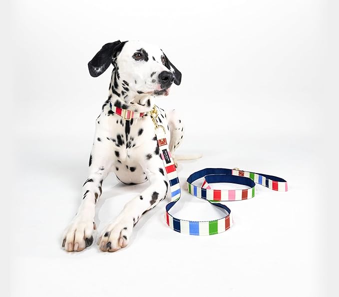 Kate Spade New York Heavy Duty Leash for Female or Male Dogs, Cute Pet Leash with Gold Metal Hardware, Long Dog Lead for Small Medium Large Breeds (Large, Adventure Stripe)