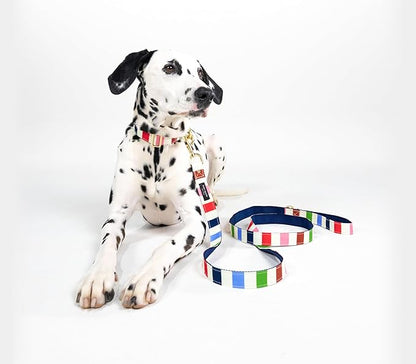 Kate Spade New York Heavy Duty Leash for Female or Male Dogs, Cute Pet Leash with Gold Metal Hardware, Long Dog Lead for Small Medium Large Breeds (Large, Adventure Stripe)