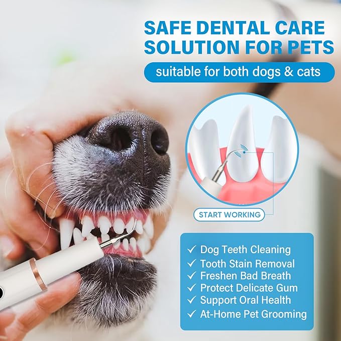 Dog Tooth Brushing Kit, Ultrasonic Dog Teeth Cleaning Kit, Waterproof Pet Dental Care Solution for Plãque, Tãrtar&Cãlculus, Pet Tooth Scaler for Dogs&Cats