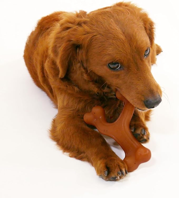 Nylabone Gourmet Style Strong Chew Wishbone Dog Chew Toy, Bacon Flavor, Small/Regular (1 Count)