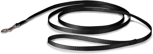 PetSafe Nylon Dog Leash - Strong, Durable, Traditional Style Leash with Easy to Use Bolt Snap - 3/8 in. x 6 ft., Black