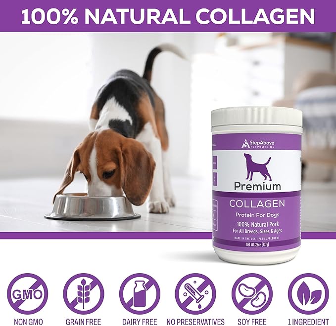 Premium Collagen Gelatin Protein for Dogs, 1Lb 10 Oz