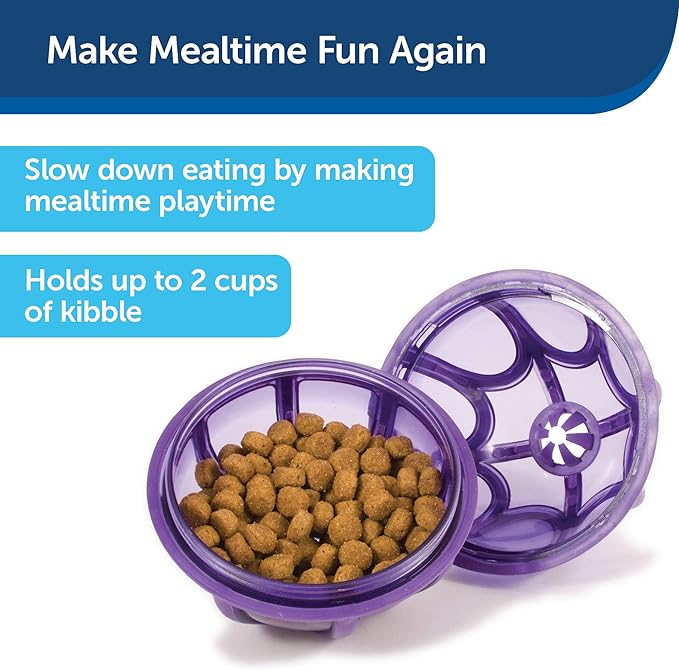 PetSafe Busy Buddy Kibble Nibble - Dog Toy - Treat and Food Dispenser - Slow feeder - Small
