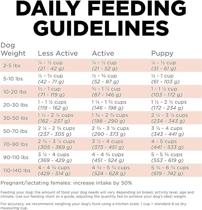 GO! SOLUTIONS Digestion + Gut Health Salmon Recipe with Ancient Grains for Dogs, 22 lb Bag - Dry Food for All Life Stages, Including Puppies, Adult and Senior Dogs