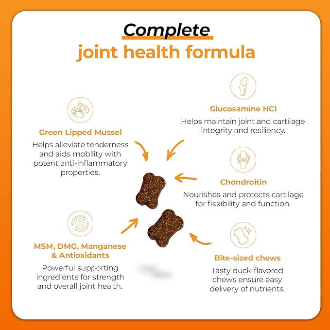 VetriScience GlycoFlex Plus Hip and Joint Supplement for Dogs – Extra-Strength Joint Support Chews with Green Lipped Mussel, Chondroitin, and Glucosamine for Dogs