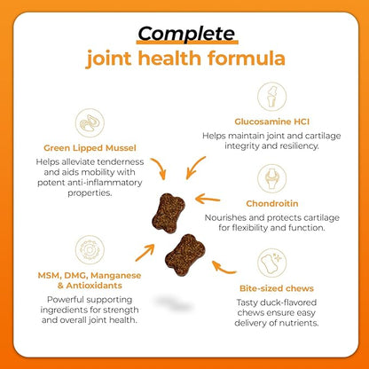 VetriScience GlycoFlex Plus Hip and Joint Supplement for Dogs – Extra-Strength Joint Support Chews with Green Lipped Mussel, Chondroitin, and Glucosamine for Dogs