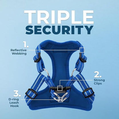 Best Pet Supplies Voyager Adjustable Dog Harness with Reflective Stripes for Walking, Jogging, Heavy-Duty Full Body No Pull Vest with Leash D-Ring, Breathable All-Weather - Harness (Royal Blue), M