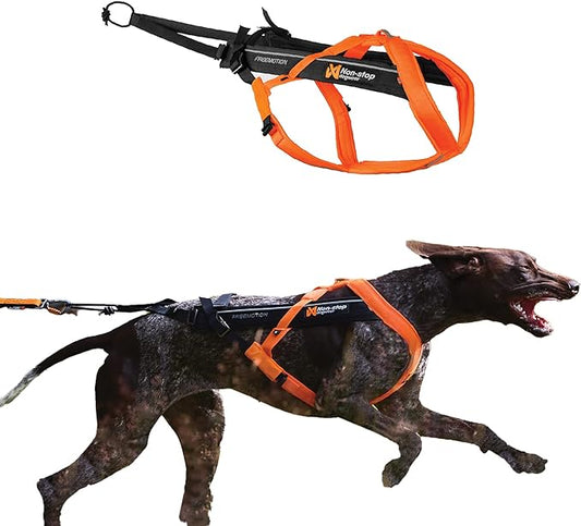Non-stop dogwear Freemotion harness 5.0 Dog Pulling Harness for Sports like Running, Biking and Skiing with Dogs, Professional Adjustable Dog Harness, Orange/Black, Size 8