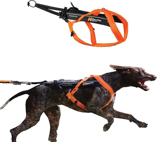 Non-stop dogwear Freemotion harness 5.0 Dog Pulling Harness for Sports like Running, Biking and Skiing with Dogs, Professional Adjustable Dog Harness, Orange/Black, Size 7