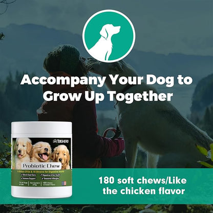 Probiotics for Dogs - Digestion & Health Supplement, Support Gut Health, Diarrhea, Digestive Health & Seasonal Allergies, Clinical Digestive Enzymes & Super Vitamins (180 Soft Chews Chicken)