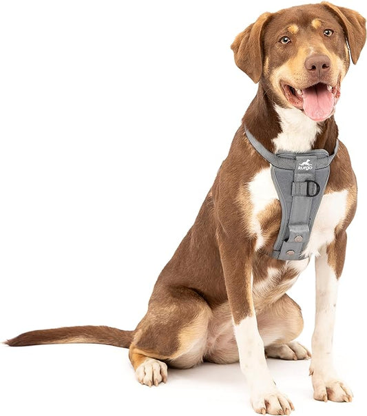 Kurgo Tru-Fit Enhanced Strength Dog Harness - Crash Tested Car Safety Harness for Dogs, No Pull Dog Harness, includes Pet Safety Seat Belt, Steel Nesting Buckles (Charcoal, Medium)