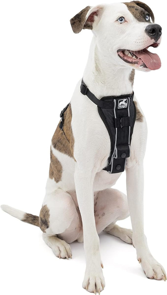 Kurgo Tru-Fit Smart Harness, Dog Harness, Pet Walking Harness, Quick Release Buckles, Front D-Ring for No Pull Training, includes Dog Seat Belt Tether (Black, Medium)
