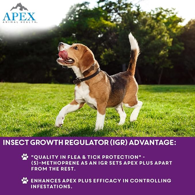 Apex Plus Flea and Tick Prevention for Dogs | Large (45-88 lbs) | 6-Month Supply | Dog Flea and Tick Treatment | 24-Hour Activation, Waterproof, 30-Day Protection