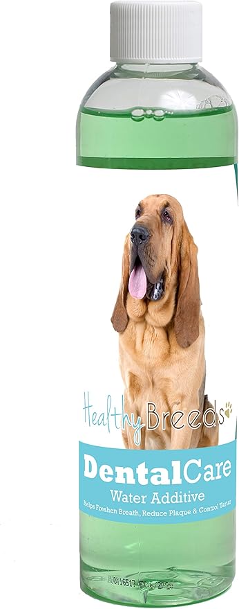 Healthy Breeds Dog Dental Care Water Additive for Bloodhound - Helps Freshen Breath, Reduce Plaque & Control Tartar - Mint Flavor - 8 oz