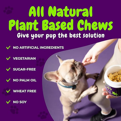 Probiotics and Digestive Enzymes for Dogs - Gut Flora, Digestive Health, Diarrhea & Bowel Support - Functional Dog Supplement Soft Chews for Immune System Boost with Pumpkin