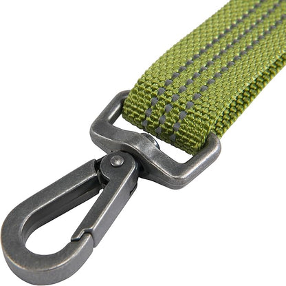 Carhartt Pet Durable Nylon Webbing Leashes for Dogs, Reflective Stitching for Visibility, Light Moss, Large