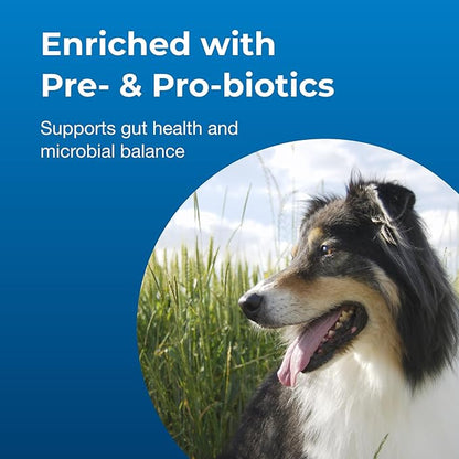 PetAg Dyne PRO HG Healthy Gut for Dogs & Puppies 8 Weeks & Older - 32 oz - High Calorie Liquid Nutritional Supplement with Pre- & Post-Biotics - Supports Endurance & Gut Health - Sweet Vanilla Flavor