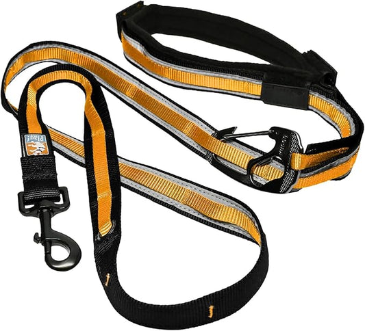 Kurgo 6 in 1 Hands Free Dog Leash, Reflective Running Belt Leash for Dogs, Crossbody & Waist Belt Leash, Carabiner clip, Padded Handle for Training, Hiking or Jogging, Quantum Leash