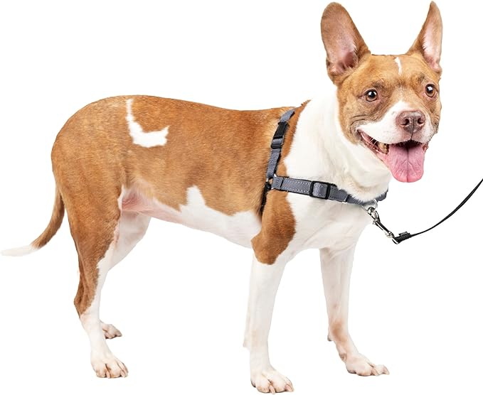 PetSafe® Deluxe Easy Walk® Dog Harness, No Pull Harness, Stop Pulling, Great For Walking and Training, Comfortable Padding, For Medium Dogs- Steel/Black, Medium
