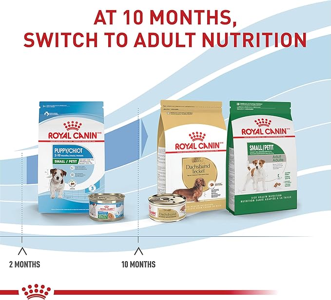 Royal Canin Size Health Nutrition Small Puppy Thin Slices in Gravy Wet Dog Food, 5.1 oz 24-Pack