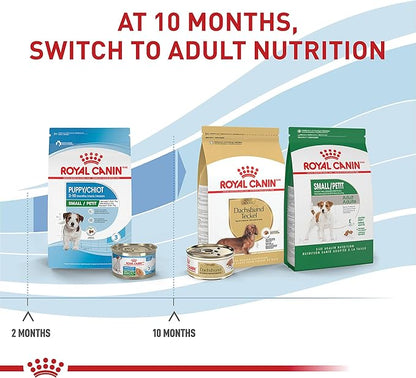 Royal Canin Size Health Nutrition Small Puppy Thin Slices in Gravy Wet Dog Food, 5.1 oz 24-Pack