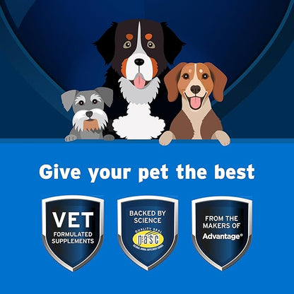 Pet Protect from The Makers of Advantage Vet-Formulated Daily Multivitamin for Dogs | 60 Chews with Vitamins