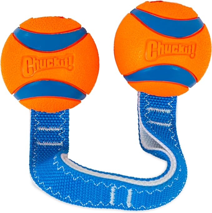 Chuckit Ultra Duo Tug Dog Toy, Medium Indoor and Outdoor Dog Ball for Dogs 20-60 Pounds & Chuckit Fetch Medley Dog Ball Dog Toys, Medium (2.5 Inch) Pack of 3, for Medium Breeds, Includes