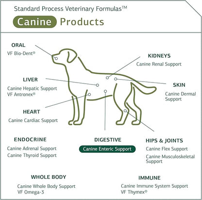 Standard Process - Canine Enteric Support - Digestive System Support for Dogs - 110 Grams
