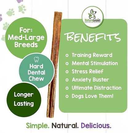 Nature Gnaws Bully Sticks for Large Dogs - Premium Natural Beef Dental Bones - Thick Long Lasting Dog Chew Treats for Aggressive Chewers - Rawhide Free - 12 Inch (10 Count)