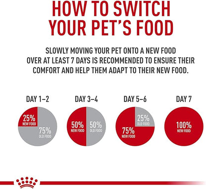 Royal Canin Large Joint Care Loaf in Sauce Wet Dog Food, 13.5 oz can (12-Count)
