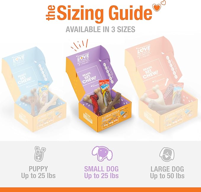 Nylabone Dog Gift Box for Small Dogs - 3 Strong Chew Toys and 1 Dog Treat - Flavor Variety, Small/Regular (4 Count)