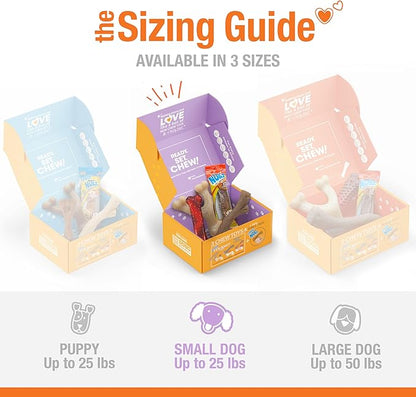 Nylabone Dog Gift Box for Small Dogs - 3 Strong Chew Toys and 1 Dog Treat - Flavor Variety, Small/Regular (4 Count)