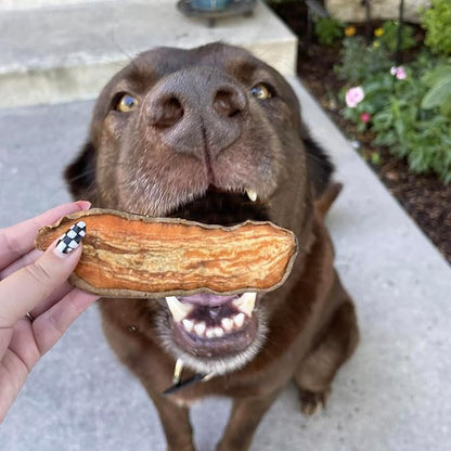 Pupford Sweet Potato Jerky Treats for Large & Small Dogs of All Ages | Made in USA, Single Ingredient & No Fillers | Dogs Love These Tasty Dog Snacks (Sweet Potato 4 oz)