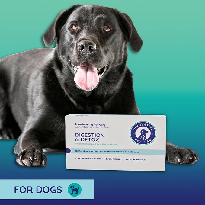 Digestion & Detox At-Home Test Kit - Expert Panel Insights for Dog's Microbiome and Digestive Health - Essential Pet Supply for Overall Wellness