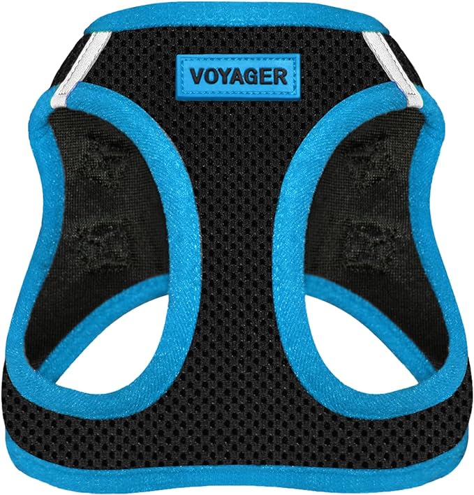 Voyager Step-In Air Dog Harness - All Weather Mesh Step in Vest Harness for Small and Medium Dogs by Best Pet Supplies - Blue Trim, Small
