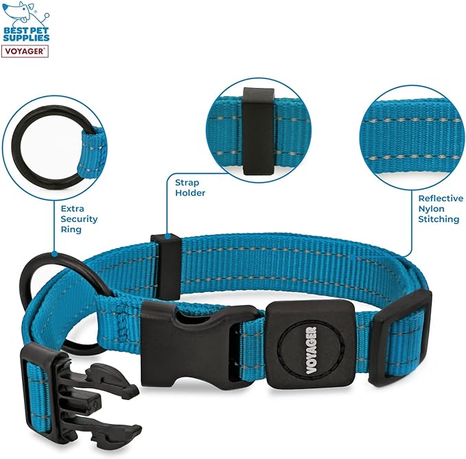 Best Pet Supplies Reflective Dog Collar with Adjustable Length, Heavy-Duty Buckle, and Strong Leash D-Ring, Training, Walking, Jogging Accessory for Small, Medium, and Large Breeds - Turquoise, L