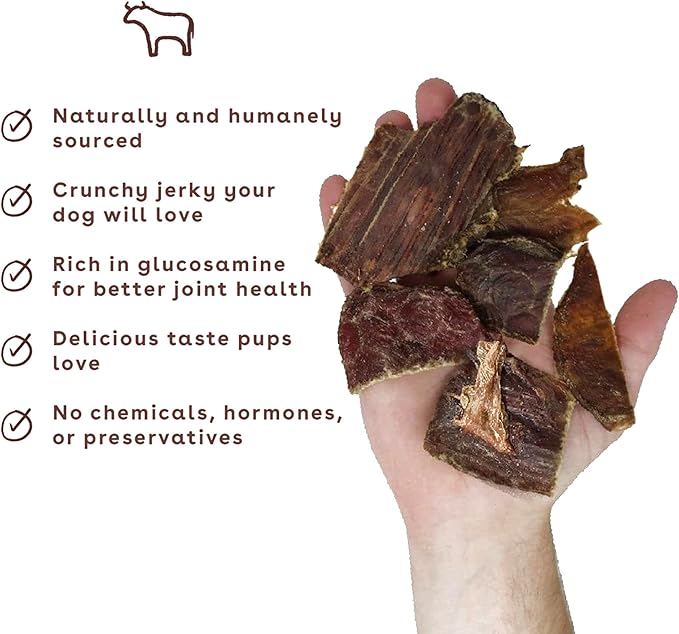 Pupford Beef Jerky Treats for Dogs for Large & Small Dogs of All Ages | Made in USA, 100% Real Meat & No Fillers | Dogs Love These Tasty Dog Snacks (Beef 4 oz)