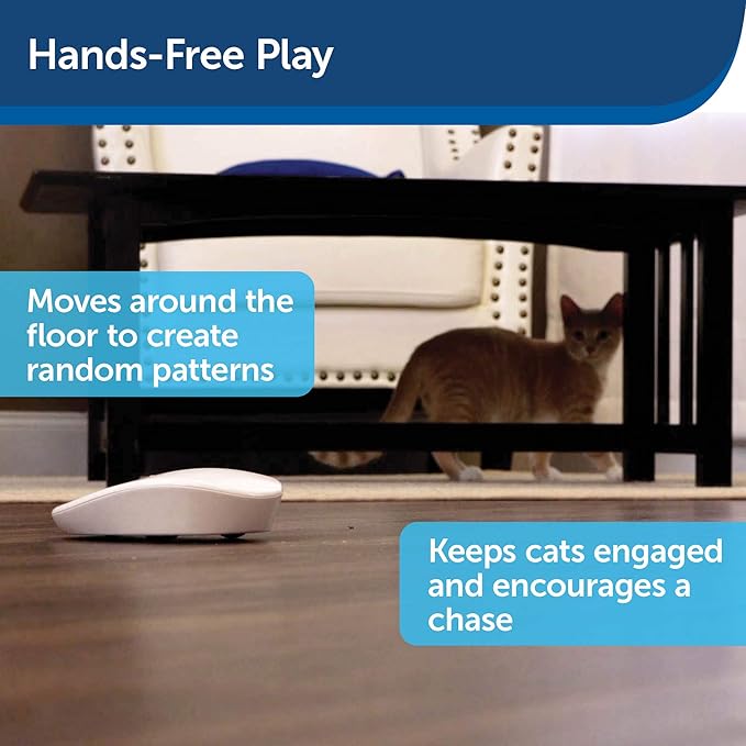 PetSafe Laser Tail Cat Toy – Fun and Safe Laser Light Game for Cats – Hands Free Play