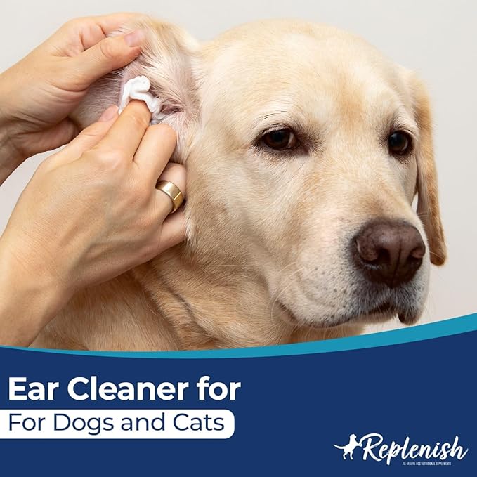 Replenish Ear Cleaner for Dogs and Cats - Dr. Rachel's Alcohol Based Gentle Ear Cleansing Solution with Aloe Vera-Infused Cucumber Melon Scent - 8 oz